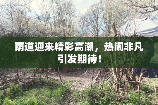 荫道迎来精彩高潮，热闹非凡引发期待！