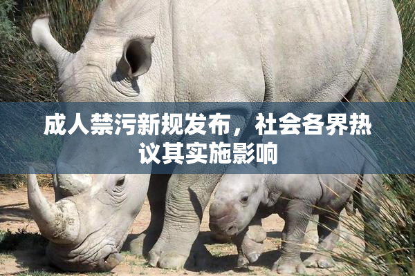 成人禁污新规发布，社会各界热议其实施影响