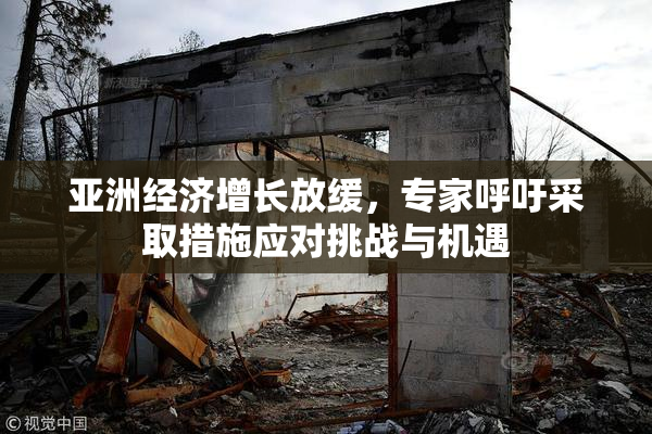 亚洲经济增长放缓，专家呼吁采取措施应对挑战与机遇