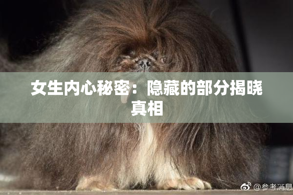 女生内心秘密：隐藏的部分揭晓真相