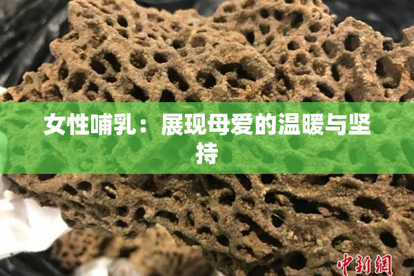 女性哺乳：展现母爱的温暖与坚持