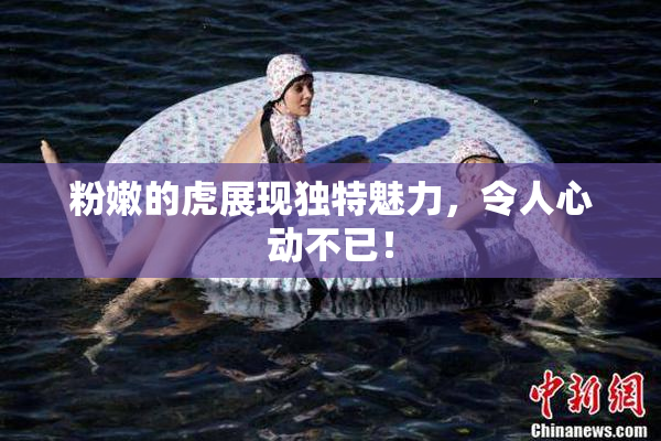 粉嫩的虎展现独特魅力，令人心动不已！