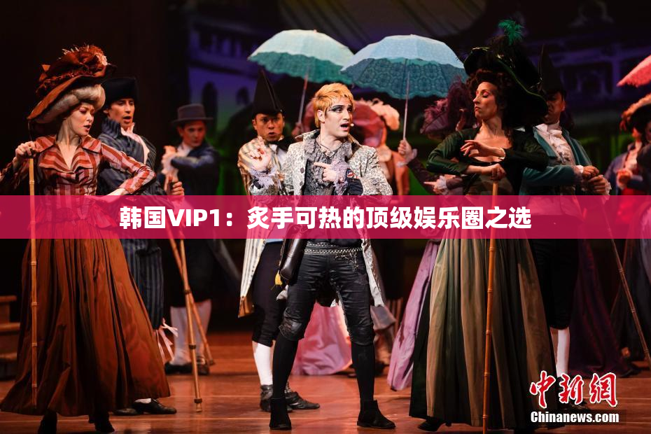 韩国VIP1：炙手可热的顶级娱乐圈之选