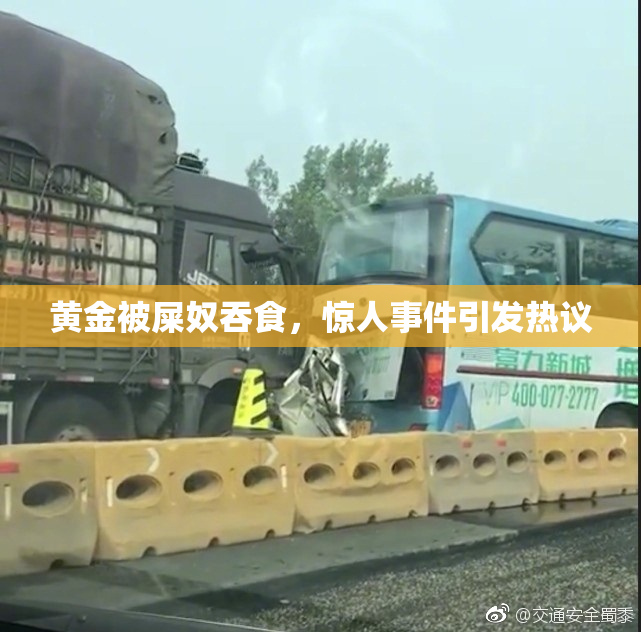 黄金被屎奴吞食，惊人事件引发热议