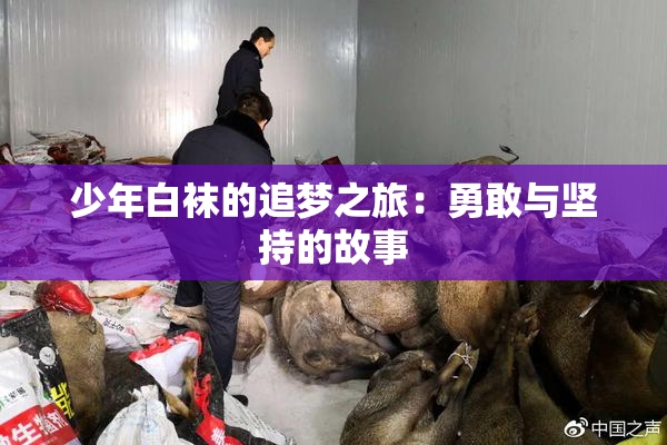 少年白袜的追梦之旅：勇敢与坚持的故事