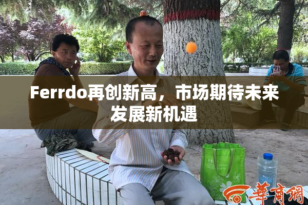 Ferrdo再创新高，市场期待未来发展新机遇