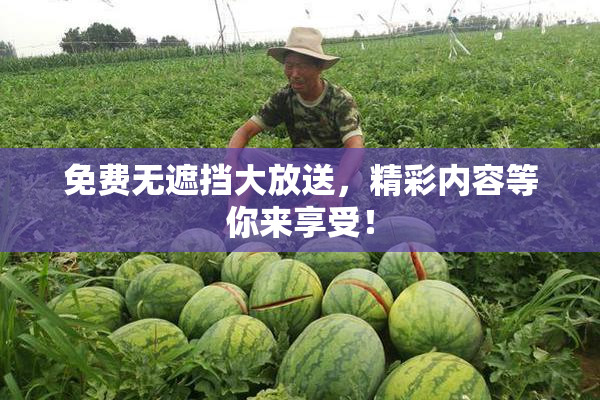 免费无遮挡大放送，精彩内容等你来享受！