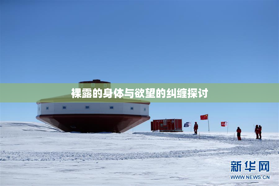 裸露的身体与欲望的纠缠探讨