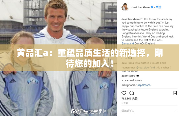 黄品汇a：重塑品质生活的新选择，期待您的加入！