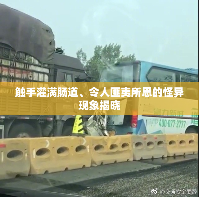 触手灌满肠道、令人匪夷所思的怪异现象揭晓