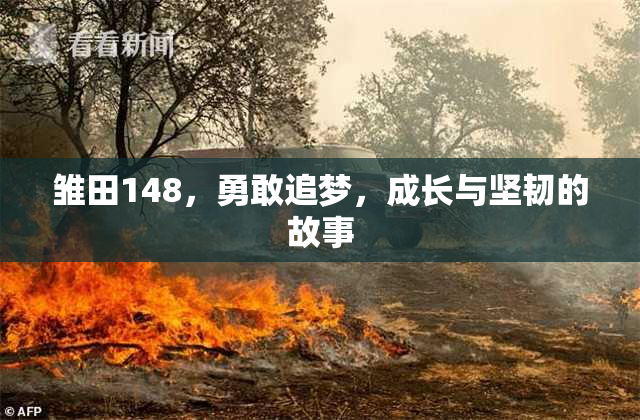 雏田148，勇敢追梦，成长与坚韧的故事