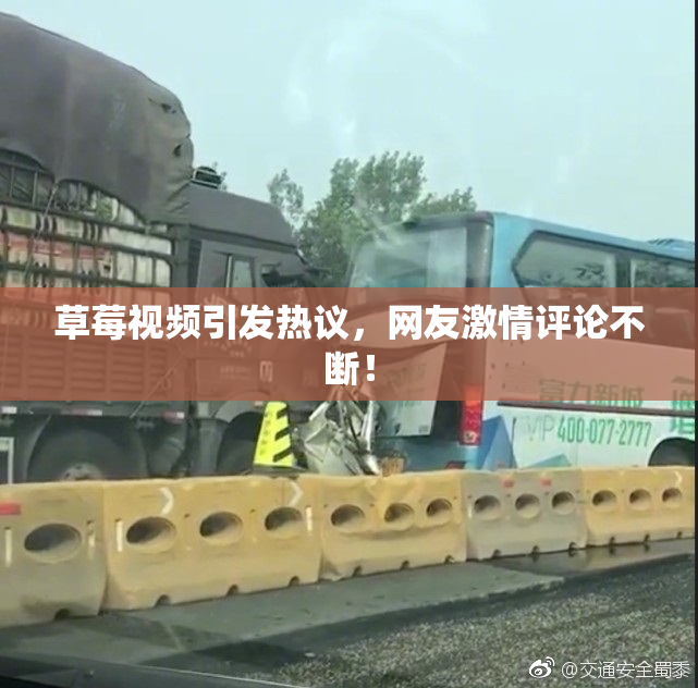 草莓视频引发热议，网友激情评论不断！