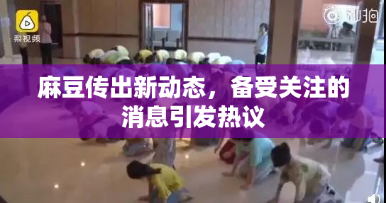 麻豆传出新动态，备受关注的消息引发热议