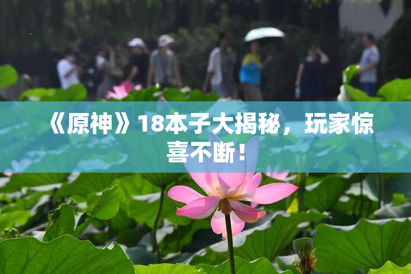 《原神》18本子大揭秘，玩家惊喜不断！