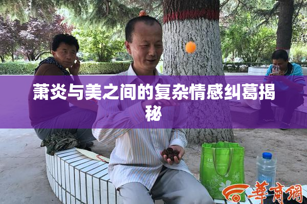 萧炎与美之间的复杂情感纠葛揭秘