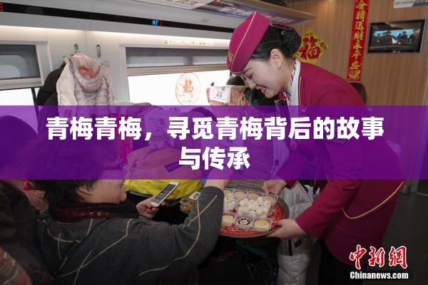 青梅青梅，寻觅青梅背后的故事与传承