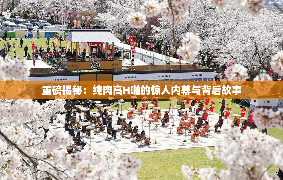 重磅揭秘：纯肉高H啪的惊人内幕与背后故事