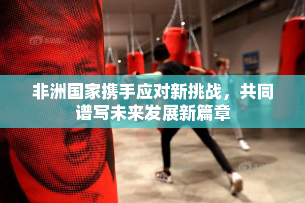 非洲国家携手应对新挑战，共同谱写未来发展新篇章