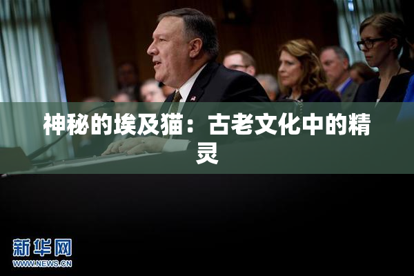 神秘的埃及猫：古老文化中的精灵
