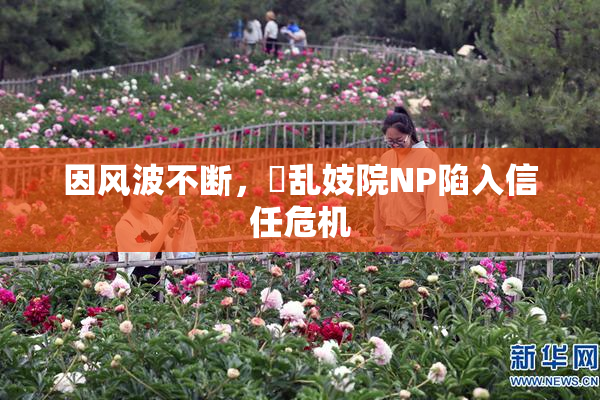 因风波不断，婬乱妓院NP陷入信任危机