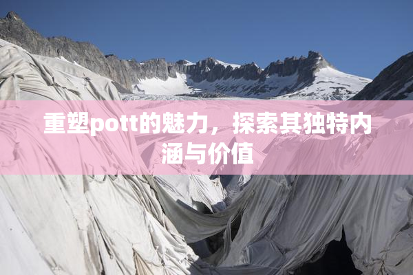 重塑pott的魅力，探索其独特内涵与价值