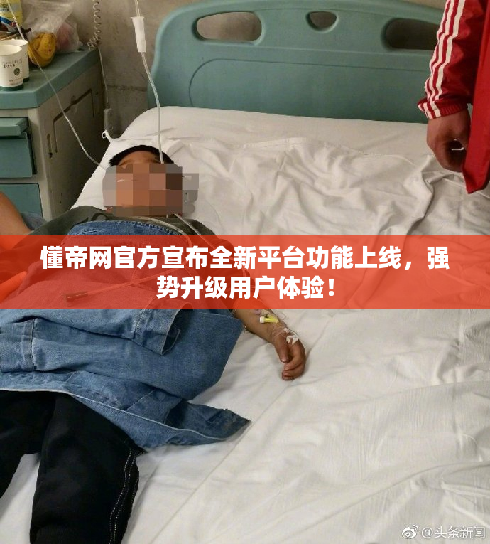 懂帝网官方宣布全新平台功能上线，强势升级用户体验！