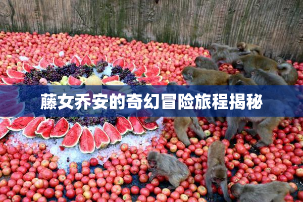 藤女乔安的奇幻冒险旅程揭秘