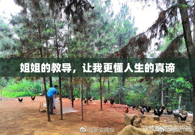 姐姐的教导，让我更懂人生的真谛