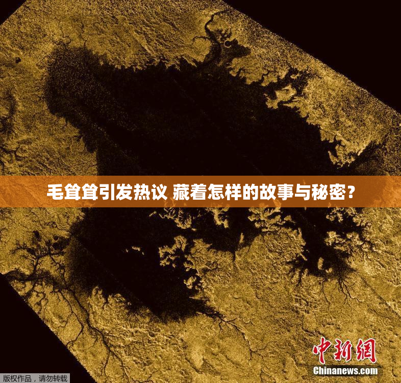 毛耸耸引发热议 藏着怎样的故事与秘密？