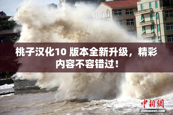 桃子汉化10 版本全新升级，精彩内容不容错过！
