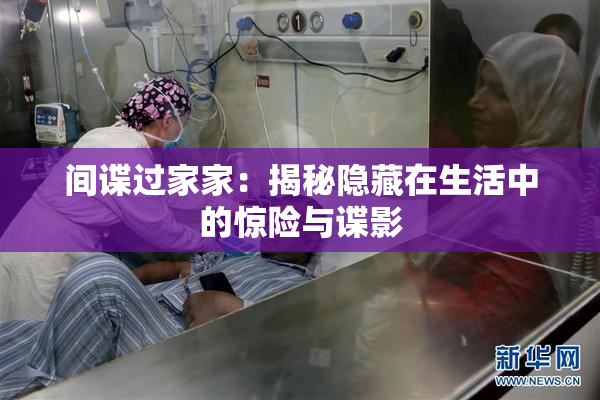 间谍过家家：揭秘隐藏在生活中的惊险与谍影