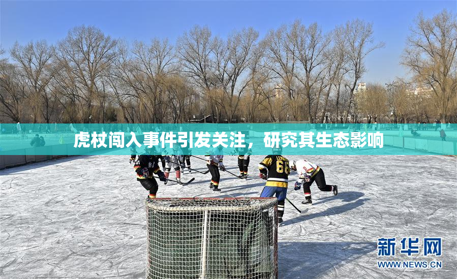 虎杖闯入事件引发关注，研究其生态影响
