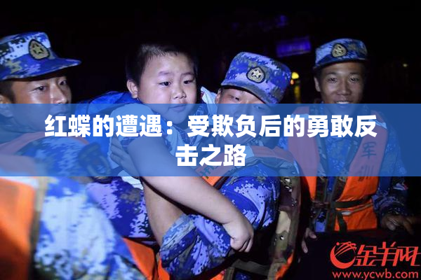红蝶的遭遇：受欺负后的勇敢反击之路