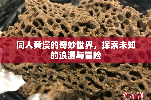同人黄漫的奇妙世界，探索未知的浪漫与冒险