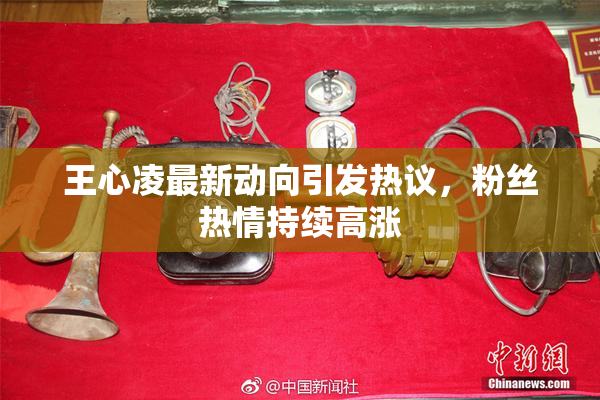 王心凌最新动向引发热议，粉丝热情持续高涨