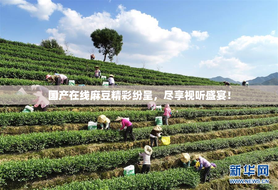 国产在线麻豆精彩纷呈，尽享视听盛宴！