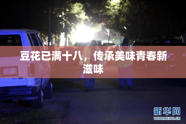 豆花已满十八，传承美味青春新滋味