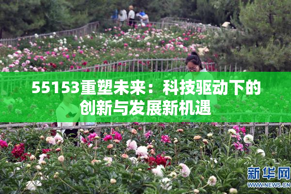 55153重塑未来：科技驱动下的创新与发展新机遇