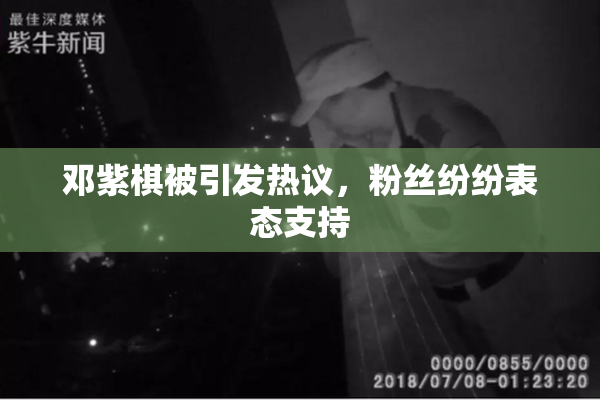 邓紫棋被引发热议，粉丝纷纷表态支持