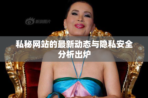 私秘网站的最新动态与隐私安全分析出炉
