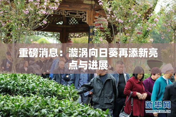 重磅消息：漩涡向日葵再添新亮点与进展
