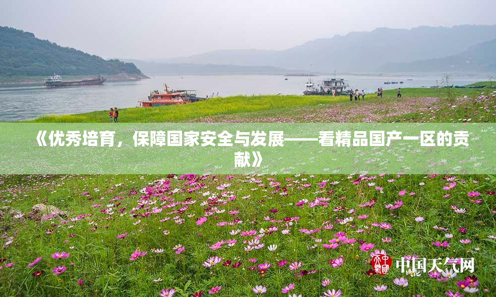 《优秀培育，保障国家安全与发展——看精品国产一区的贡献》