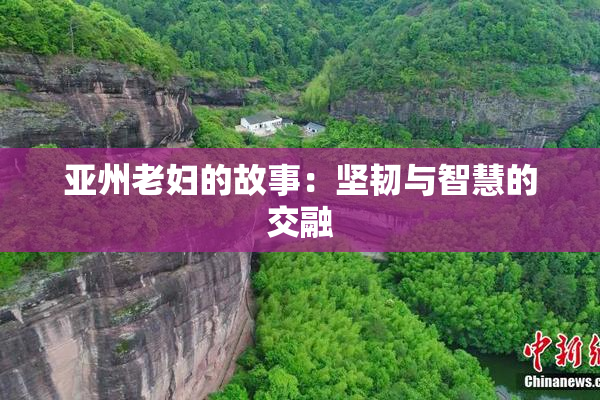 亚州老妇的故事：坚韧与智慧的交融