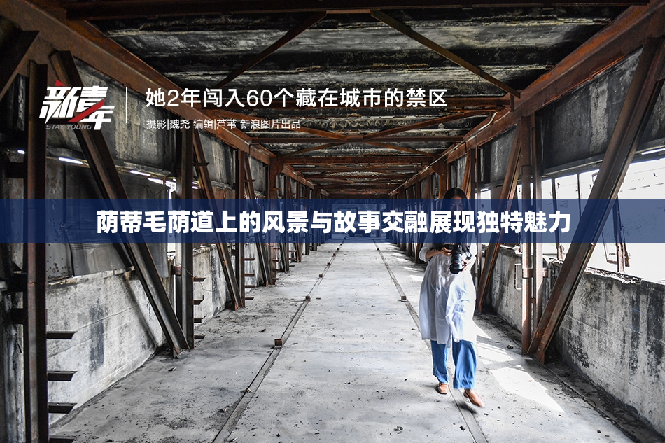 荫蒂毛荫道上的风景与故事交融展现独特魅力