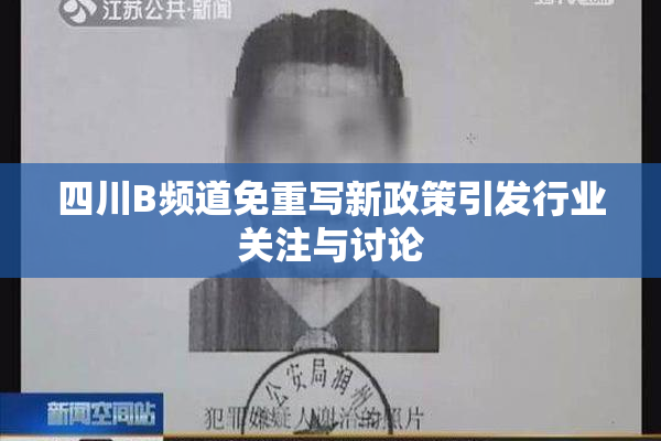 四川B频道免重写新政策引发行业关注与讨论