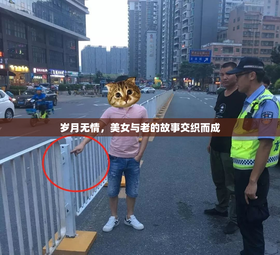 岁月无情，美女与老的故事交织而成