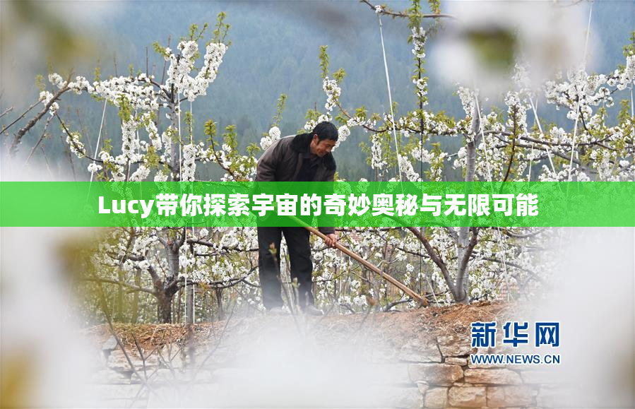 Lucy带你探索宇宙的奇妙奥秘与无限可能