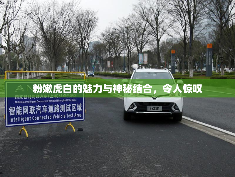 粉嫩虎白的魅力与神秘结合，令人惊叹