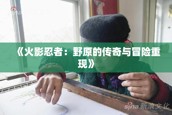 《火影忍者：野原的传奇与冒险重现》