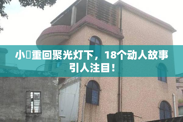 小泬重回聚光灯下，18个动人故事引人注目！